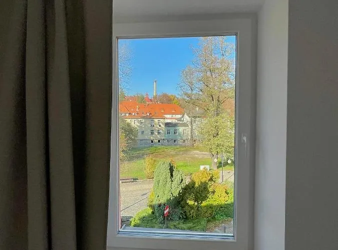 Sosnowy Apartament *